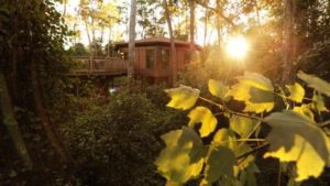 Treehouse Villas