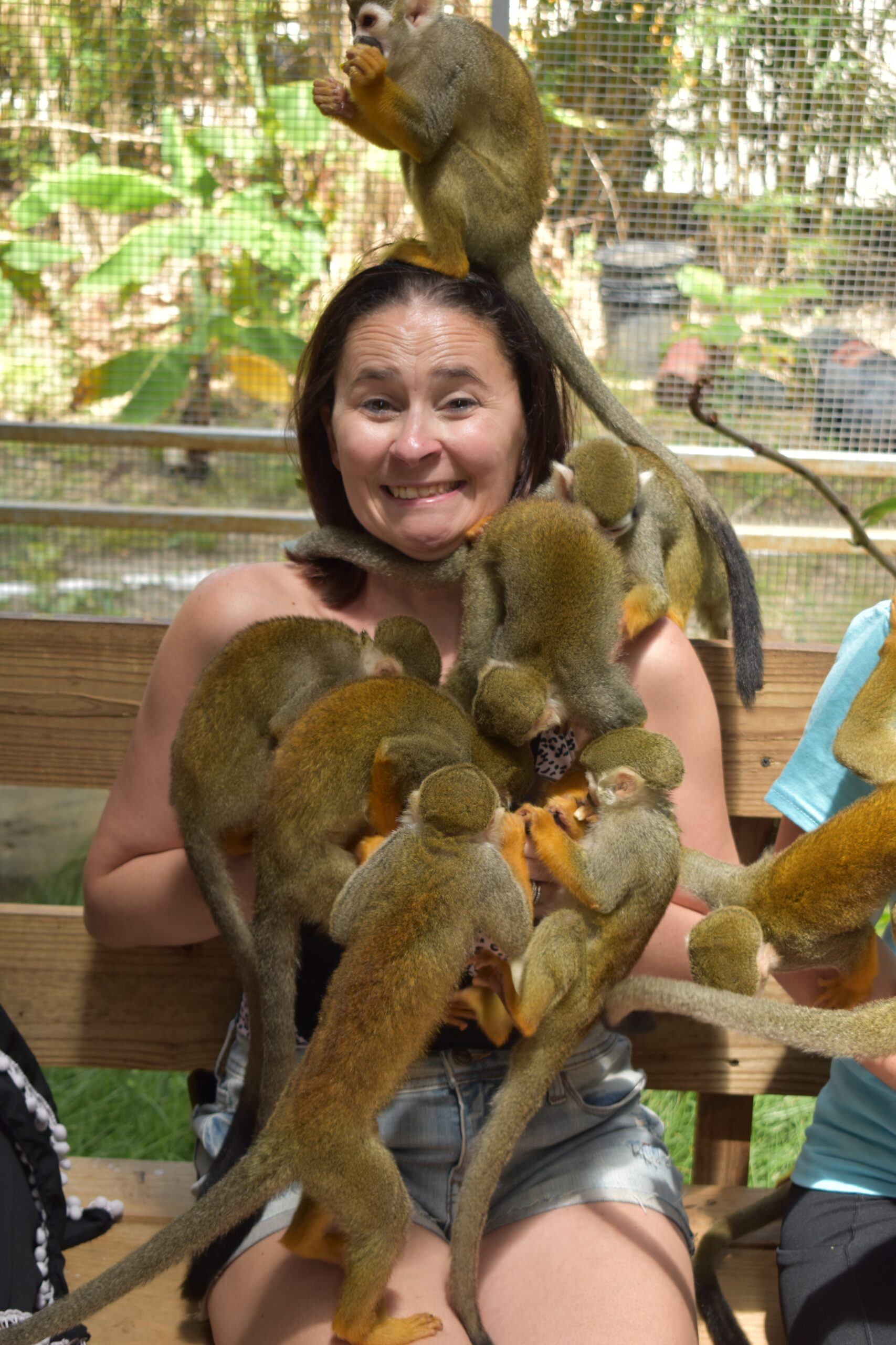 Monkey Enounters Taino Bay