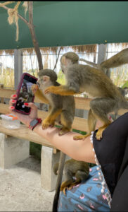 Monkey Photo Time