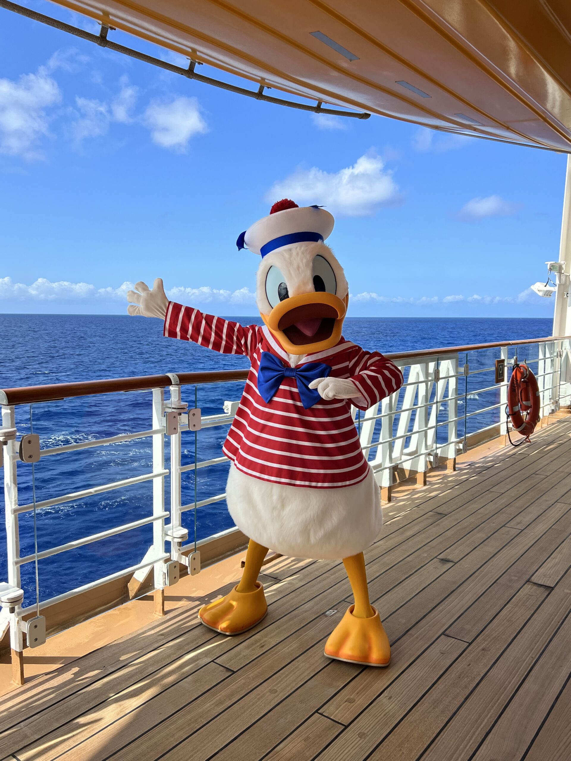 donald duck