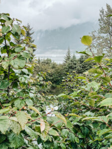 Juneau