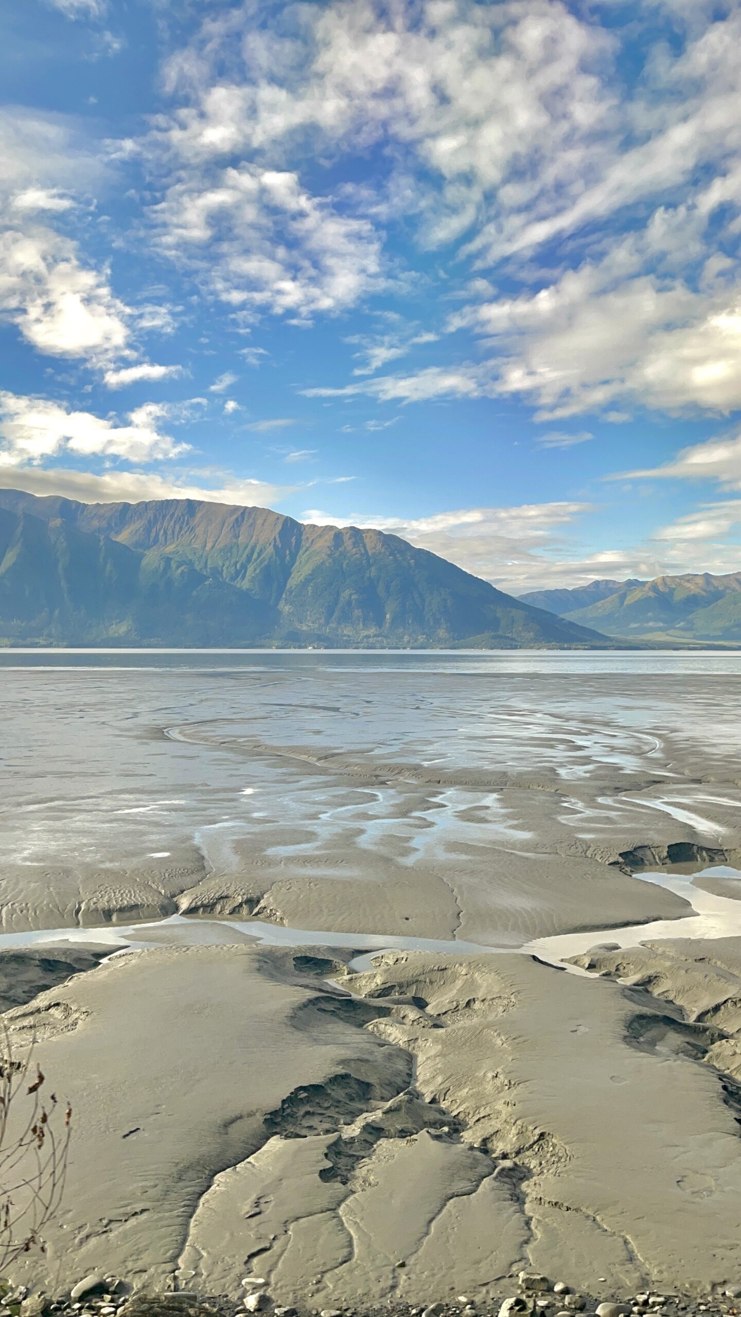 Train in Alaska