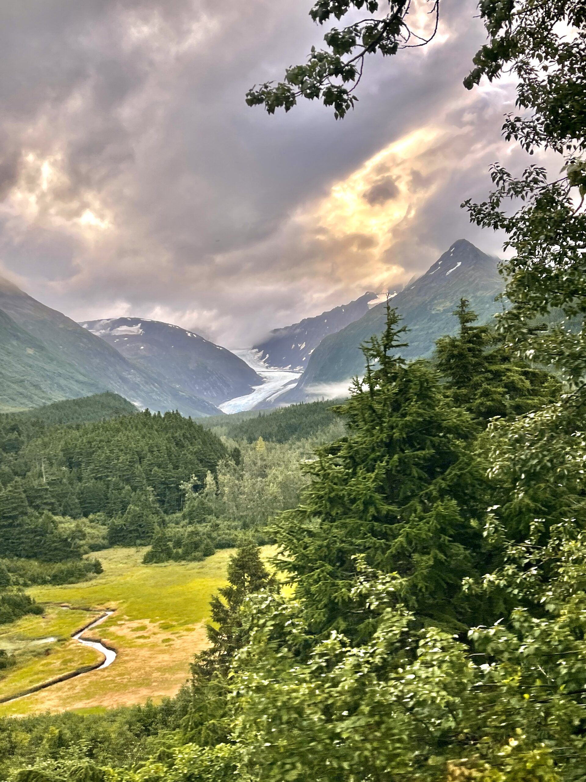 Train in Alaska Scenery
