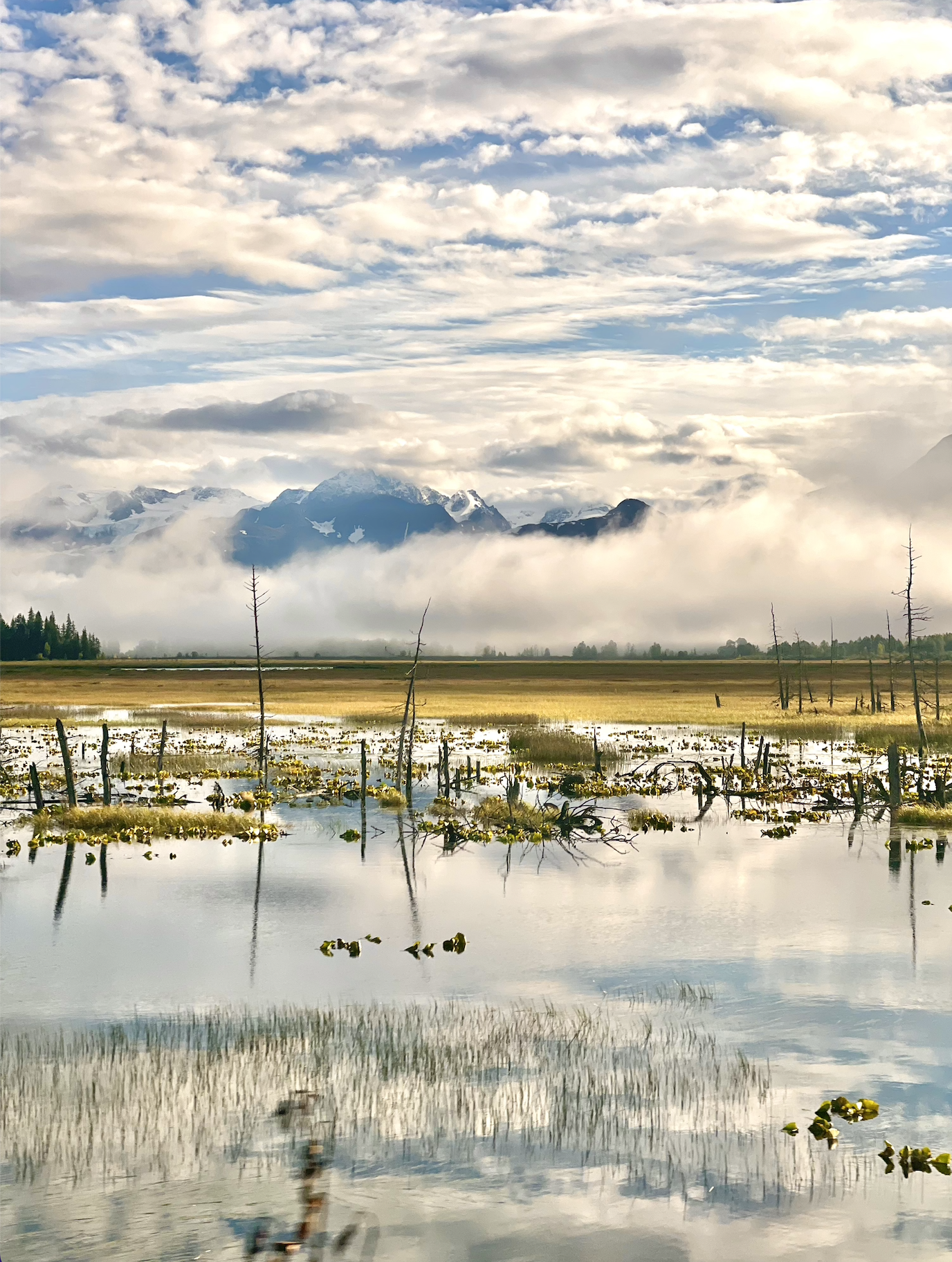 Scenery in Alaska