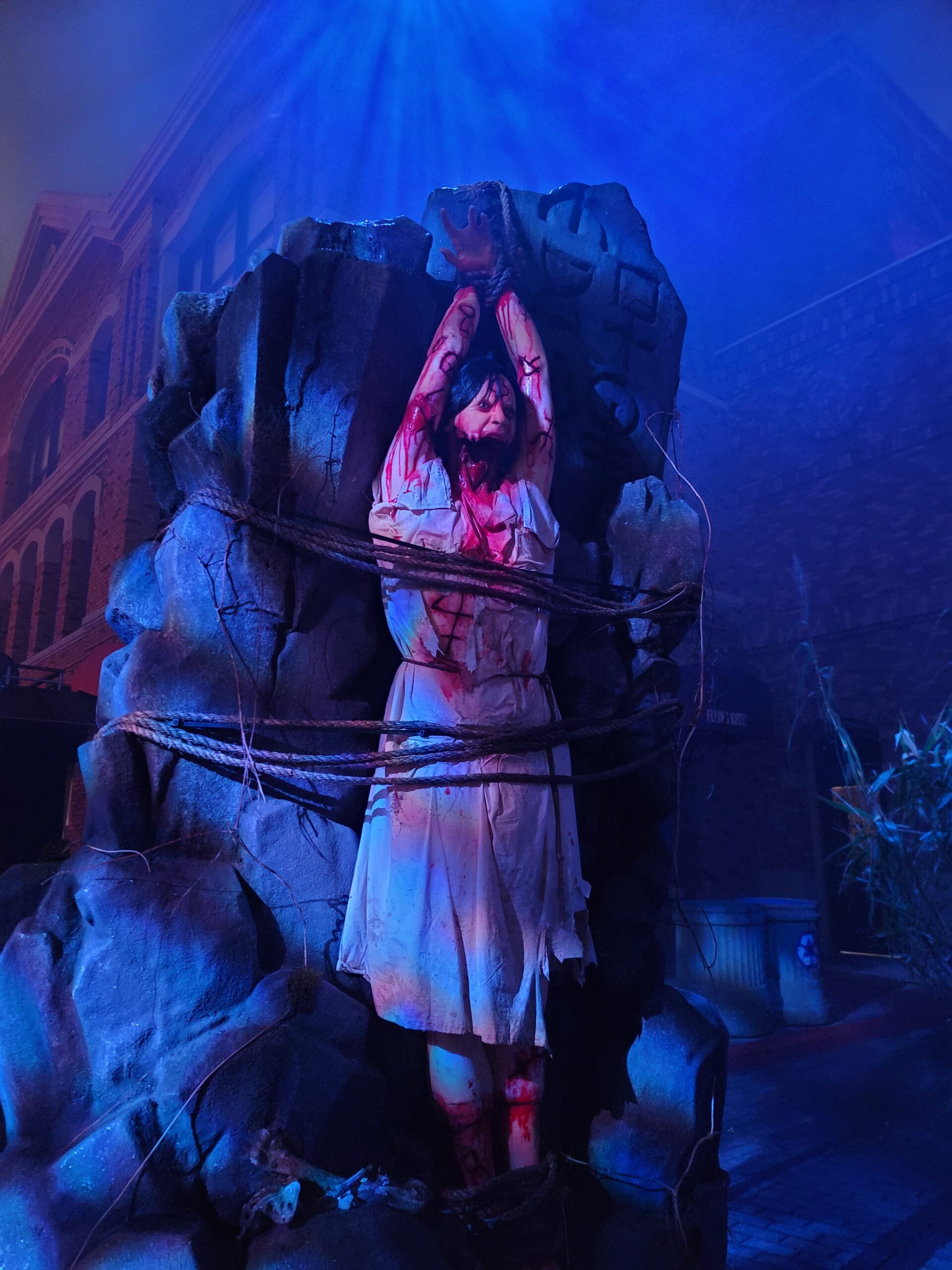 HHN 2