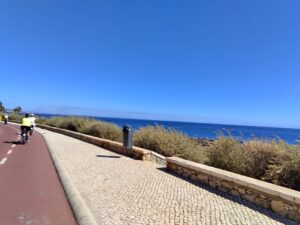 bike view
