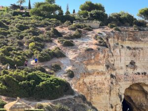 cliff walking