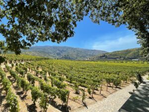winery