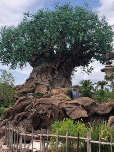 Animal Kingdom