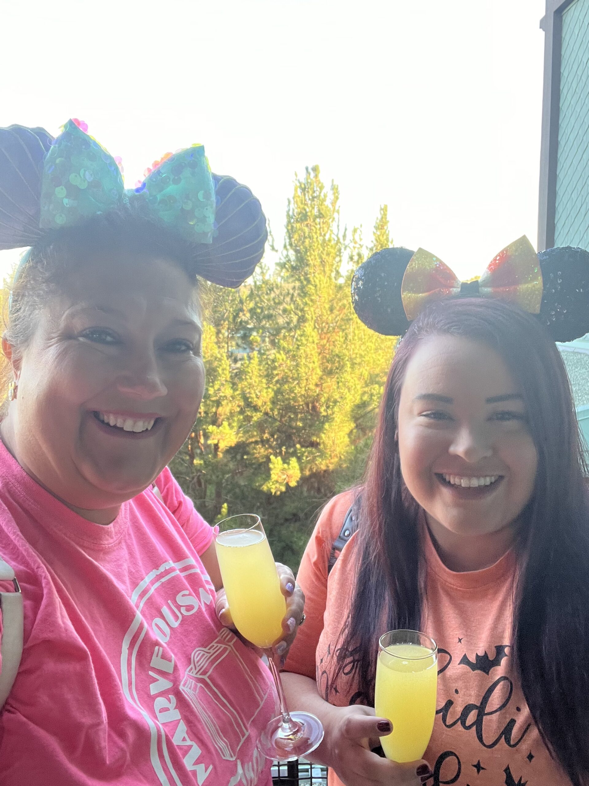 Adult-Only Disneyland Trip