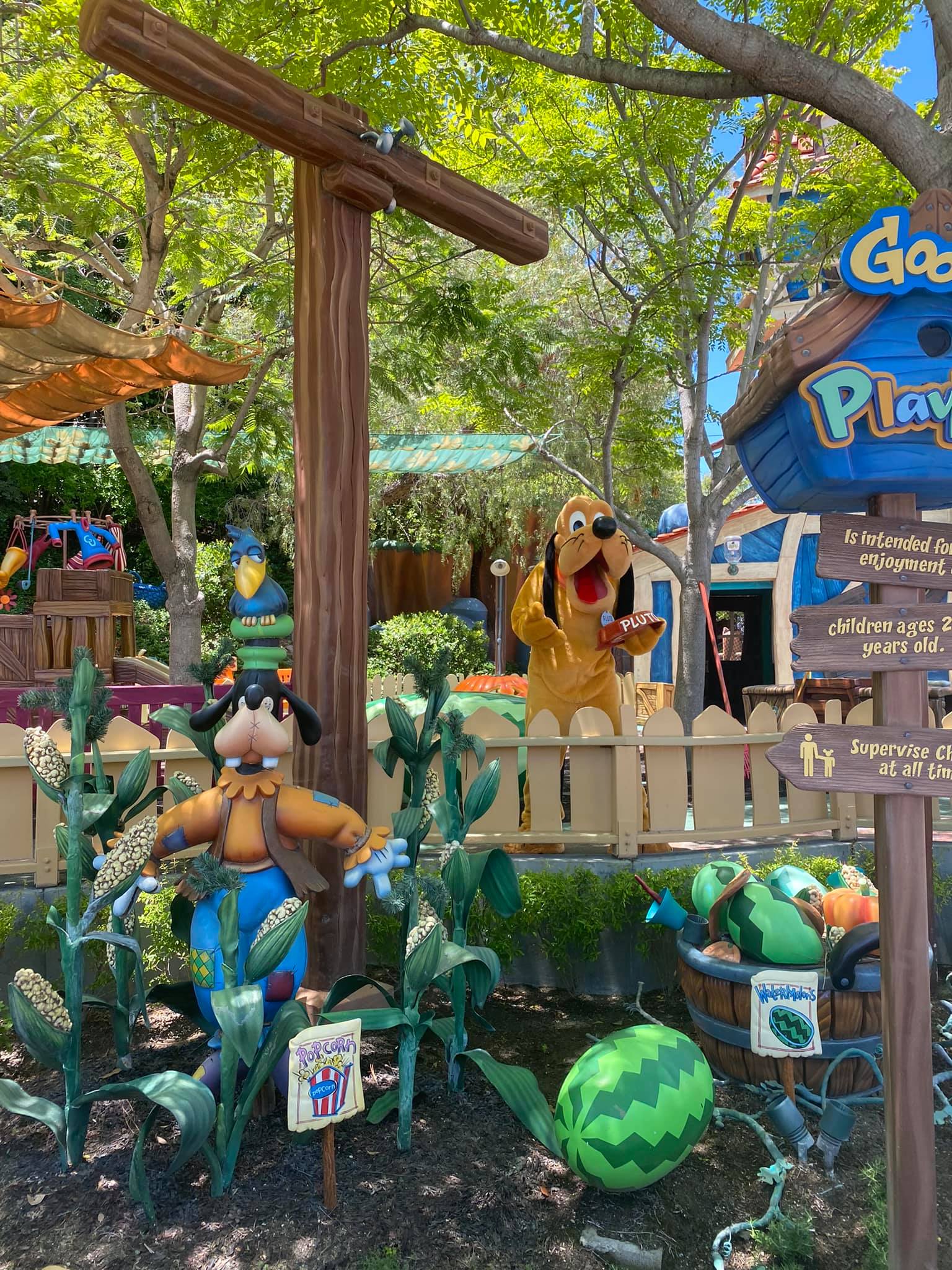 Toontown