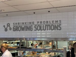 pym kitchen