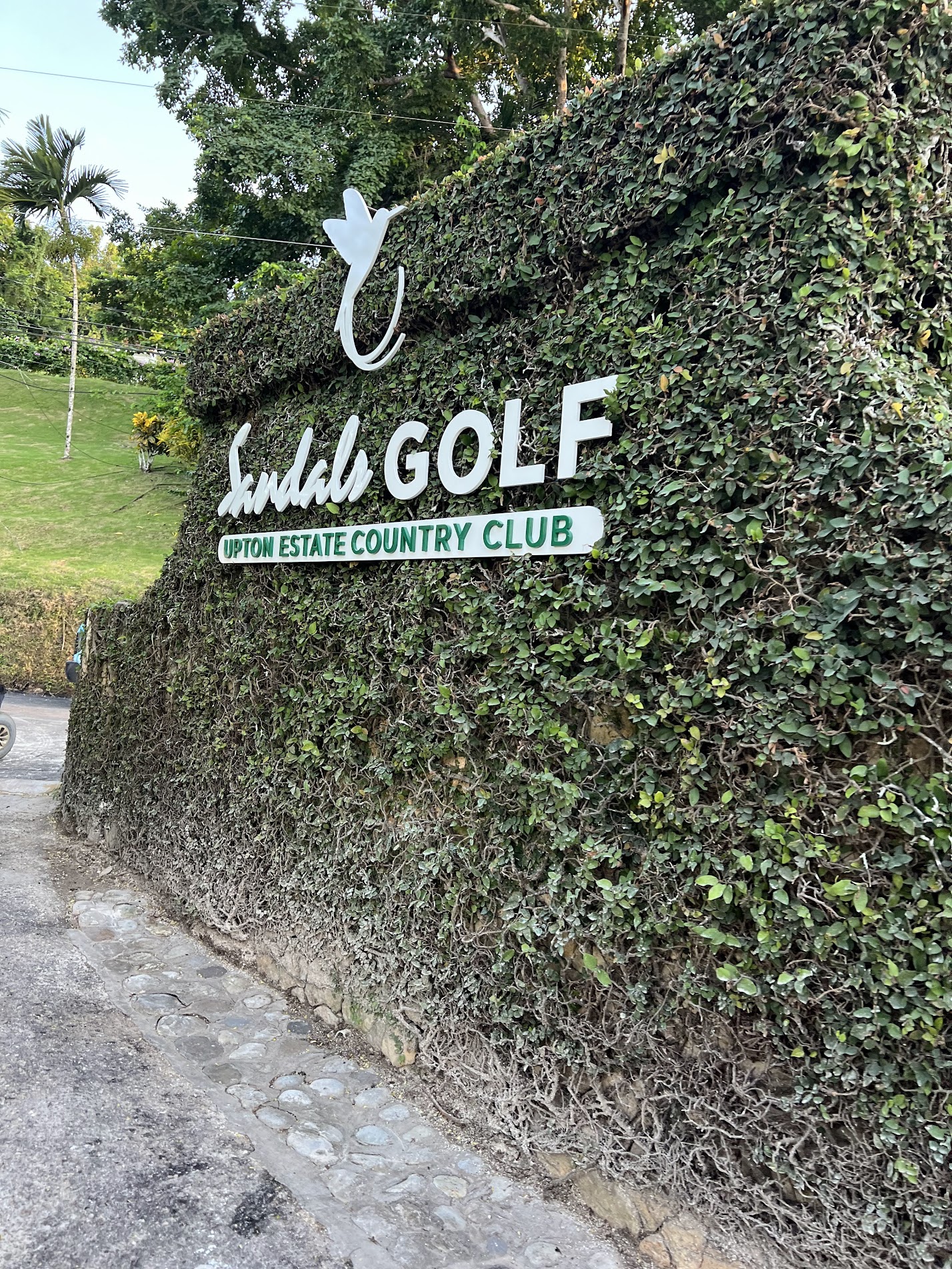 Sandals Golf
