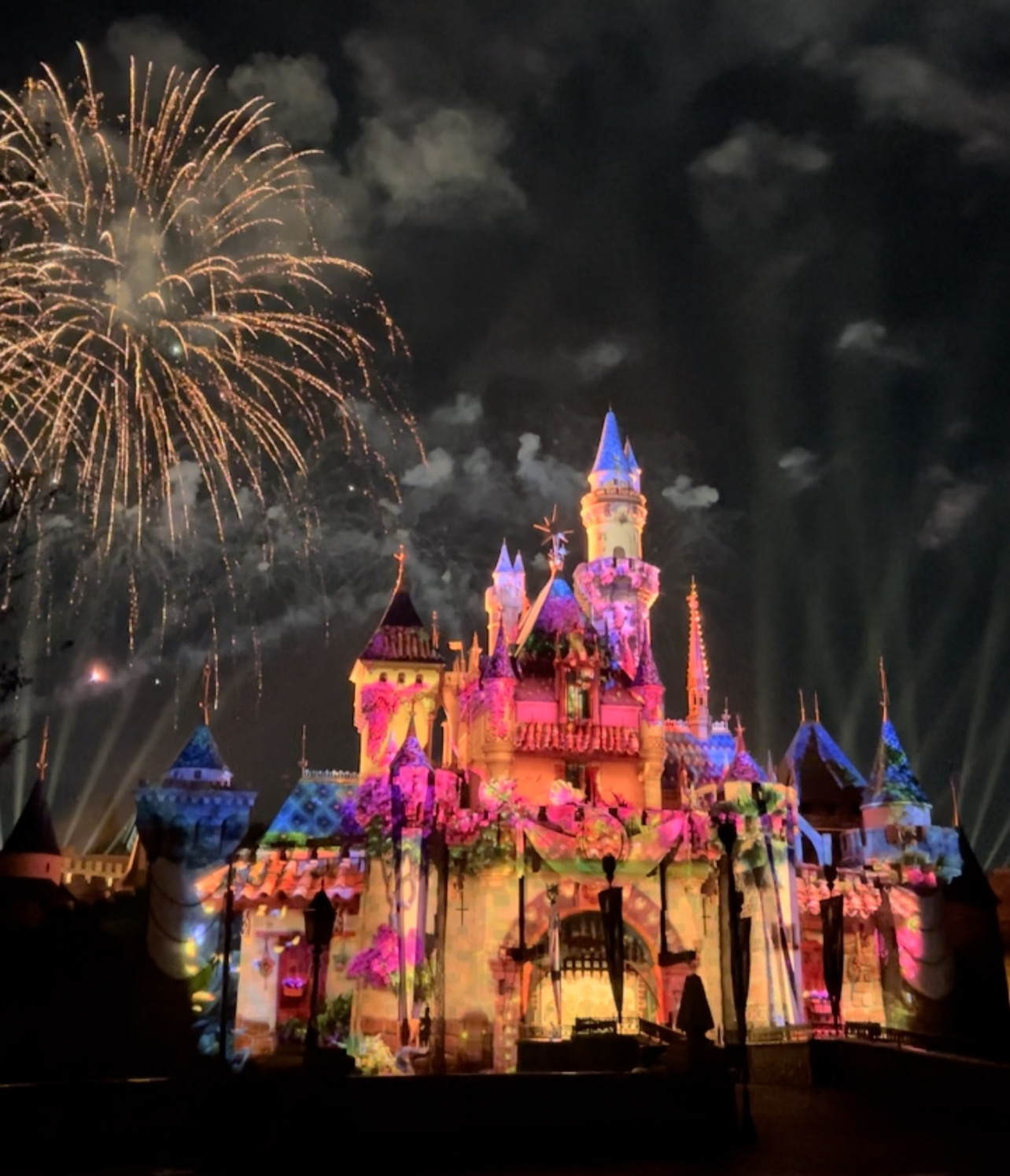Disney100 Wondrous