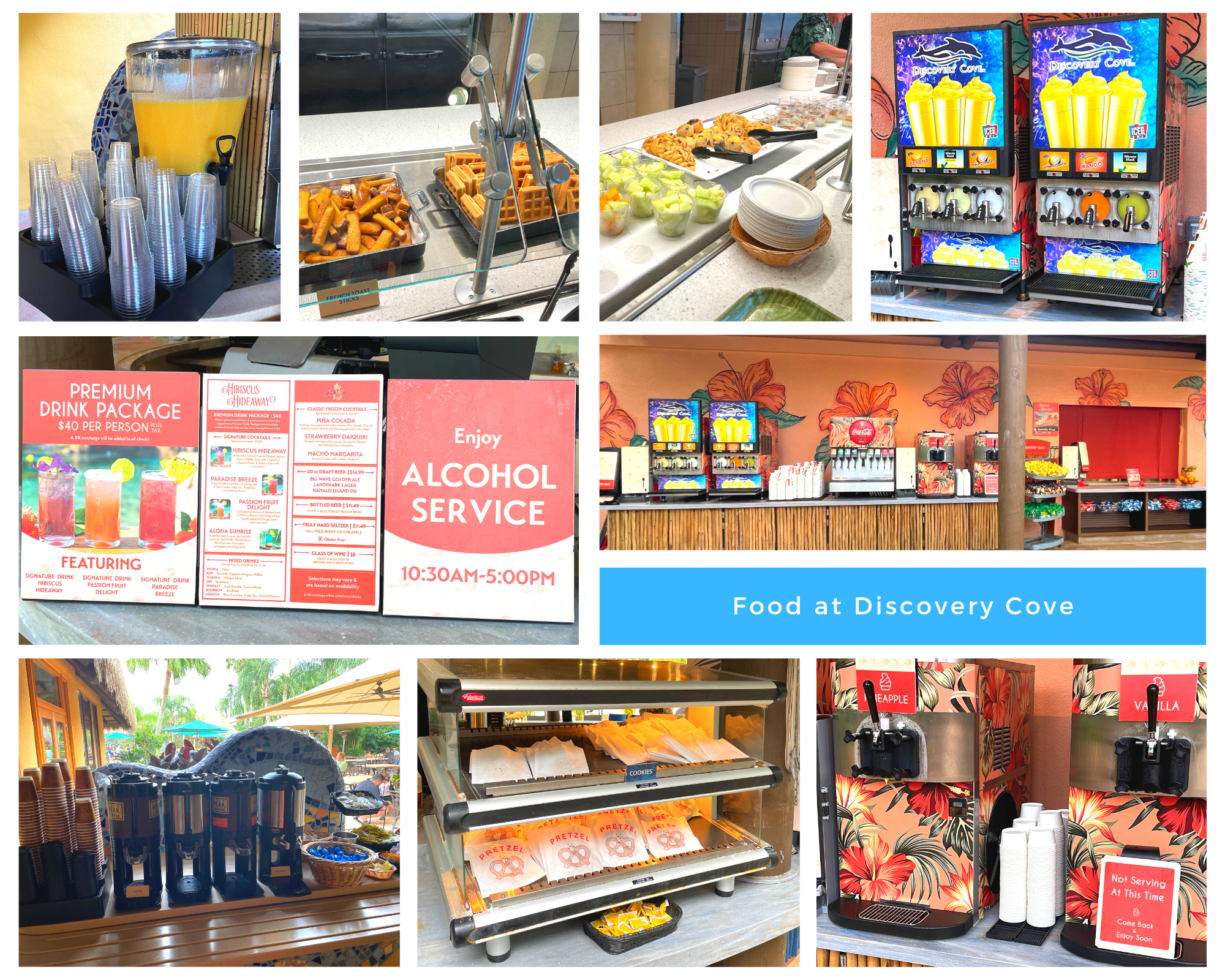 Discovery Cove Food