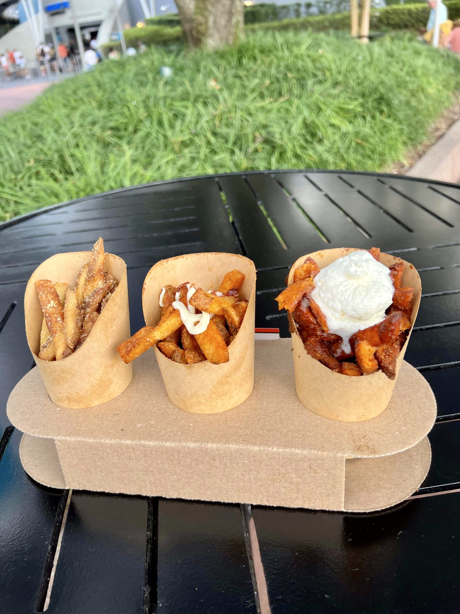 2023 EPCOT International Food & Wine Festival Fry Flight