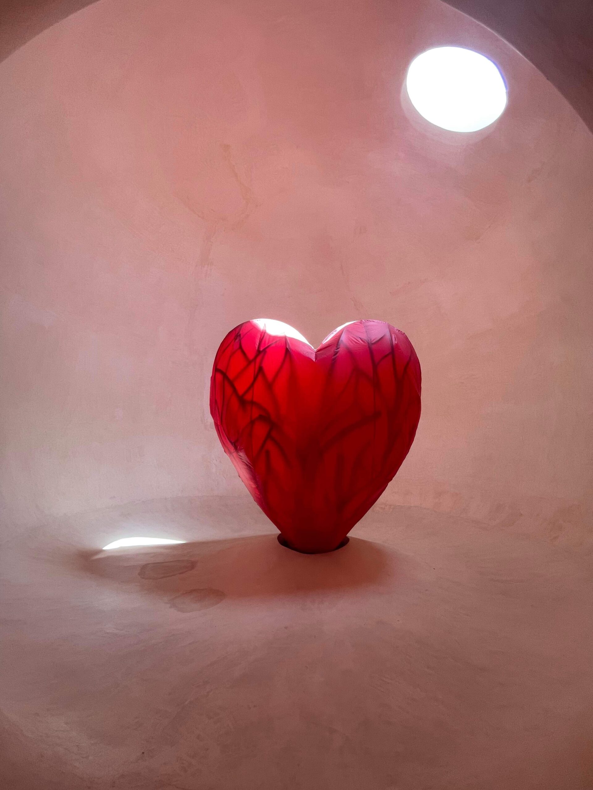 Heart Xenses