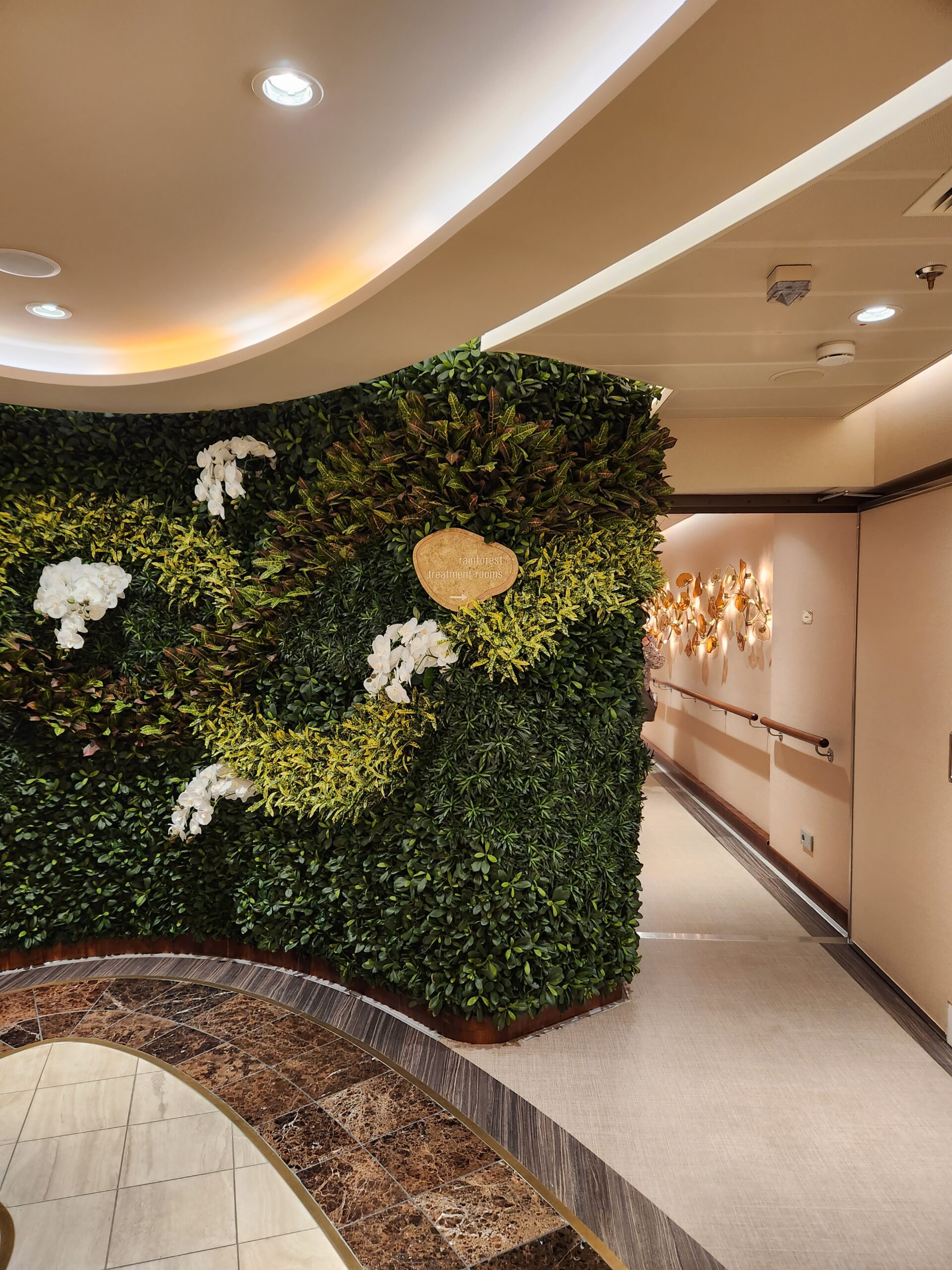 Rainforest Room Disney Wish