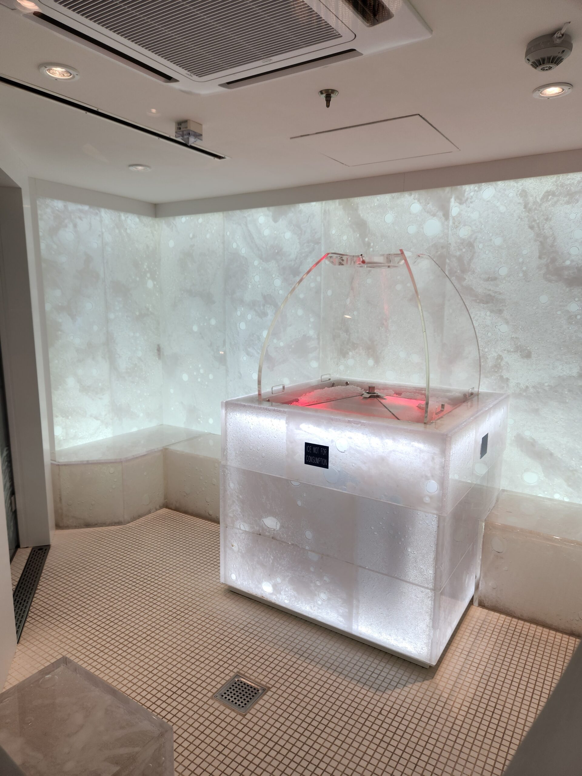 Rainforest Room Ice Room