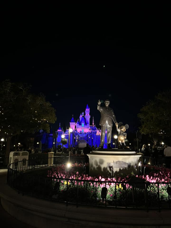 Magic Shots Disneyland