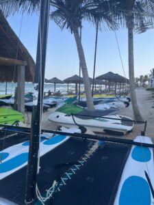 kayaks
