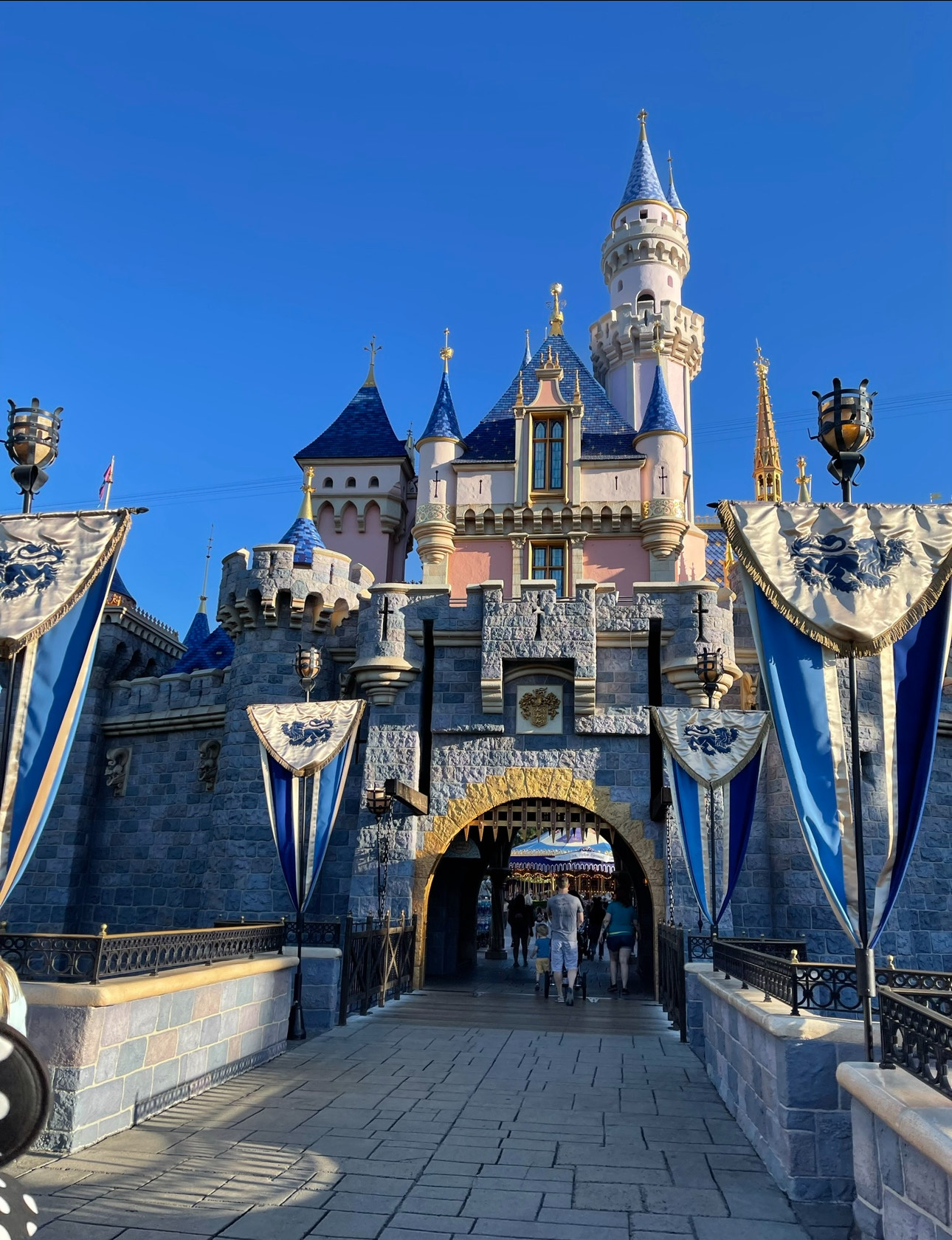Castle Disneyland Rides for Toddlers