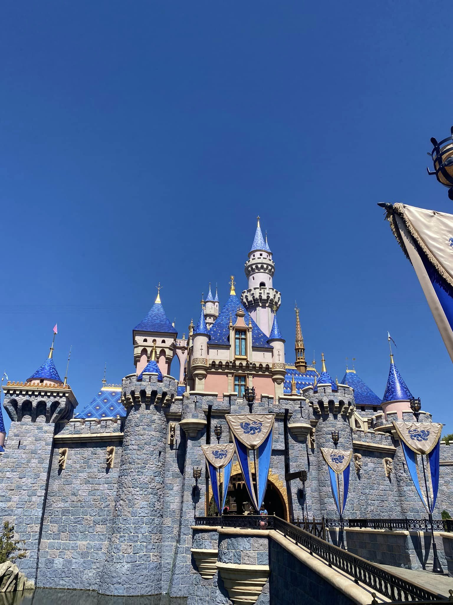 2024 Disneyland Fun