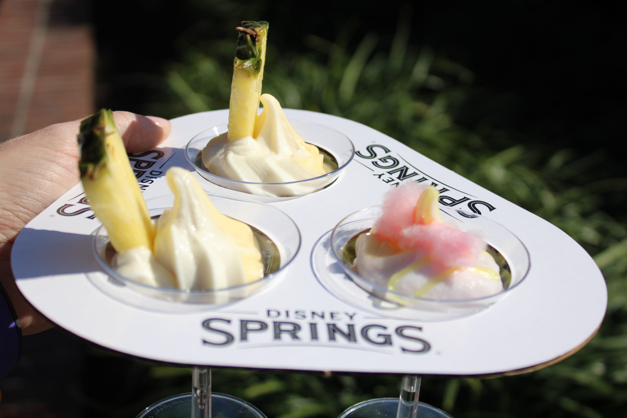Dole Whip Flight