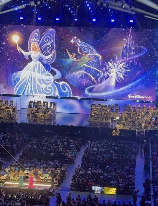 Disney Starlight