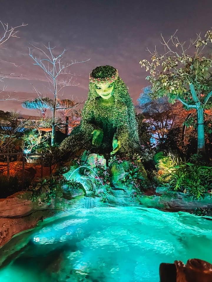Moana WDW