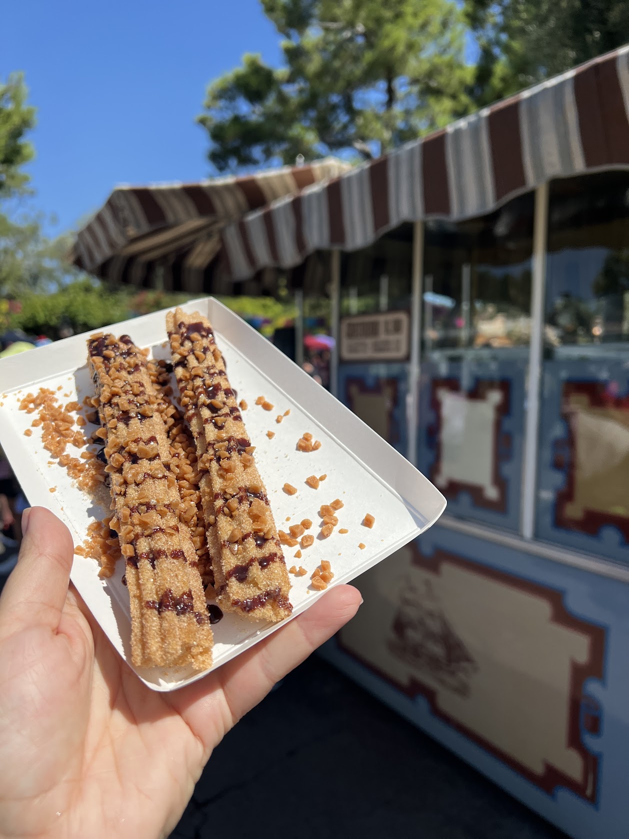 Churros 5 Disneyland Must-Try Snacks