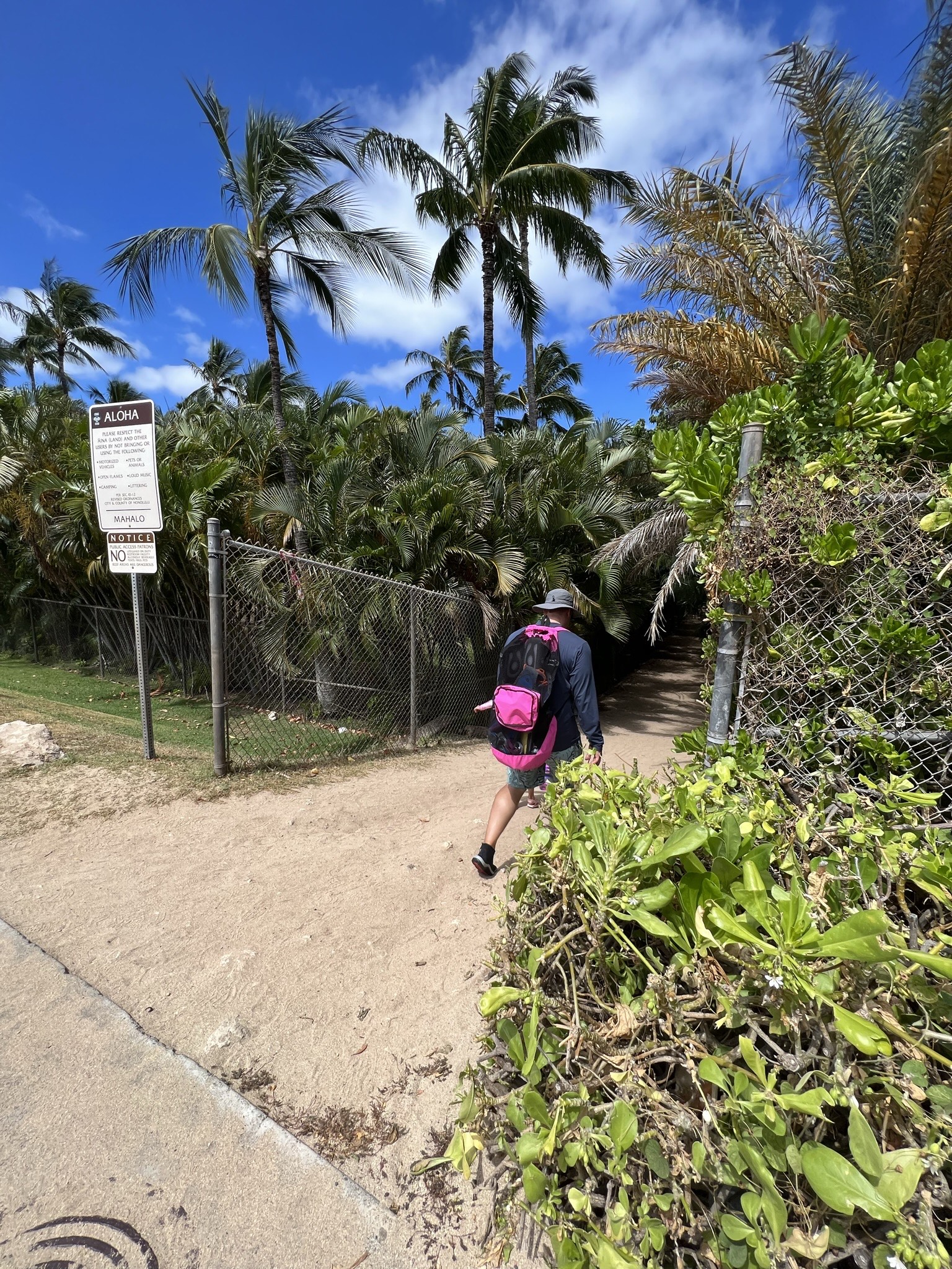 What's Included at Aulani - Plus a Hidden Gem Next Door! Secret Beach